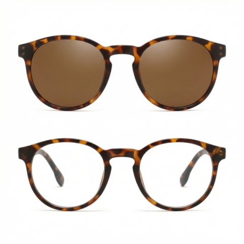 image_d543f9ed-23b3-4024-a2b9-2c31850e52be