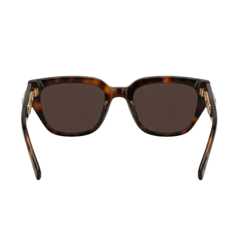 image_e6142412-45af-4826-97a4-453841696235