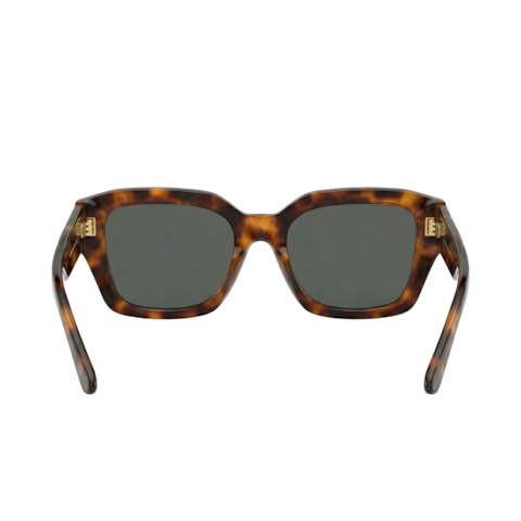 image_26b3e213-7c61-439d-a1e7-ef16153b6a6a